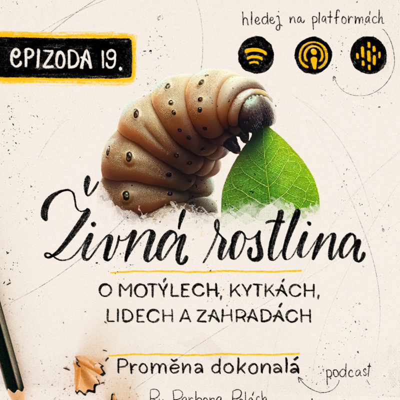 Obrázek epizody #19 Živné rostliny, zahrady pro motýly a my