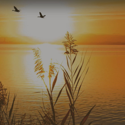 Obrázek epizody 02 Kultura bezpečnosti