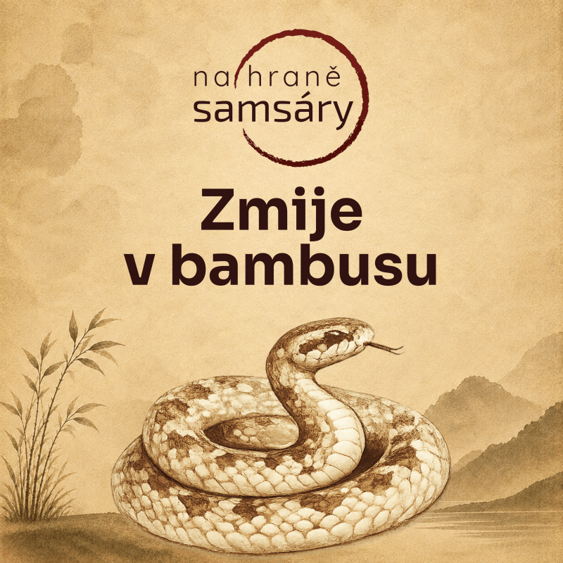 Obrázek epizody 7. Zmije v bambusu