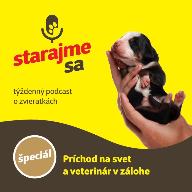 Obrázek epizody Špeciál: Príchod na svet a veterinár v zálohe