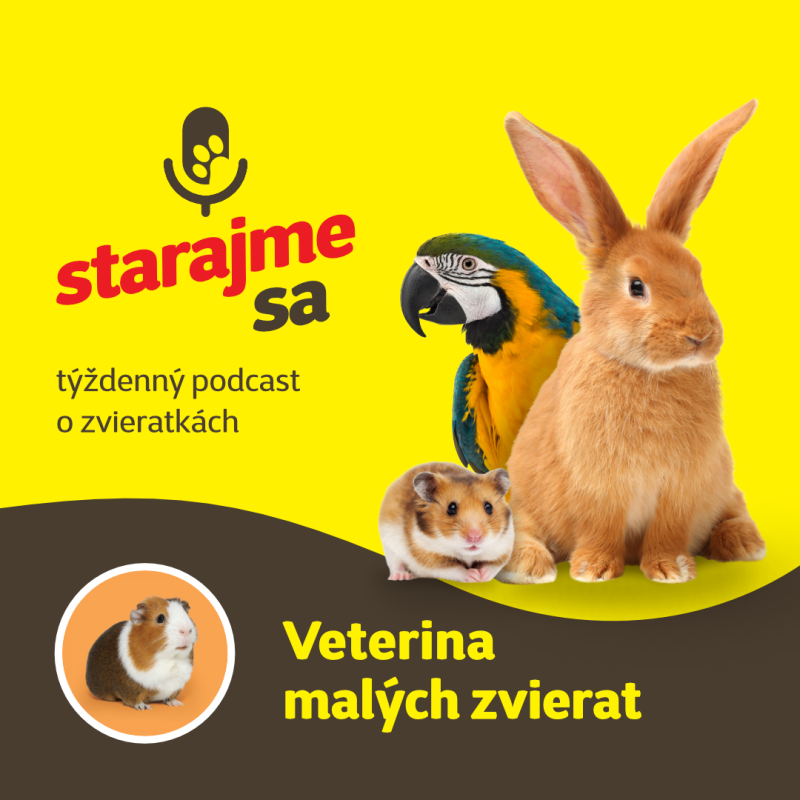 Obrázek epizody Drobné cicavce: Veterina malých zvierat
