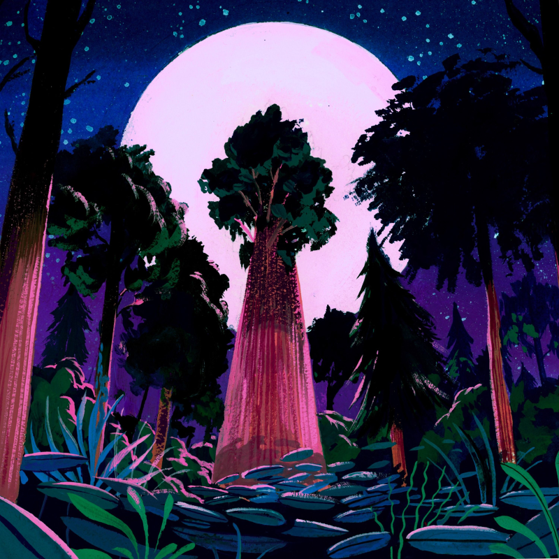 Obrázek epizody Moon Trees