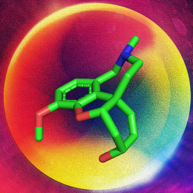 Obrázek epizody Morbidní obezita, Sugar Denny a nasraný Karel