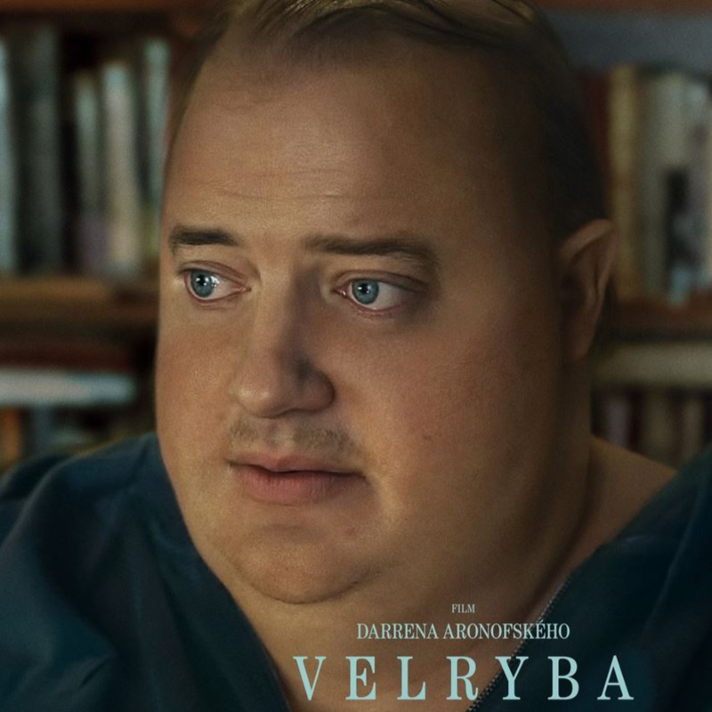Obrázek epizody S01E22: Velryba (The Whale)
