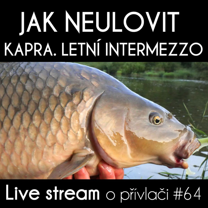 Obrázek epizody Přívlač live #64 - Jak neulovit kapra! Letní Intermezzo