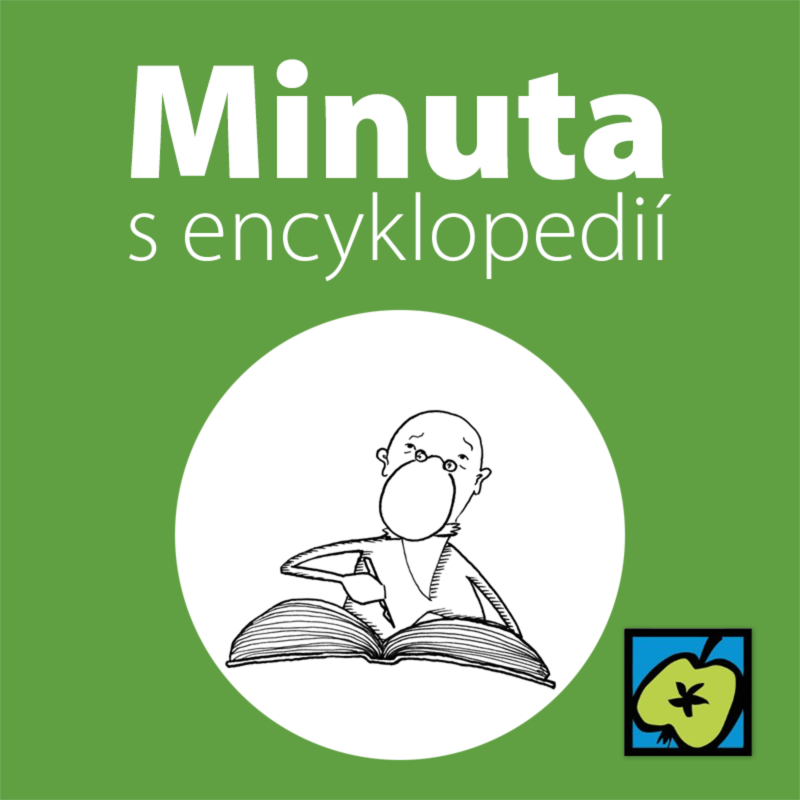 Obrázek epizody České slovníky