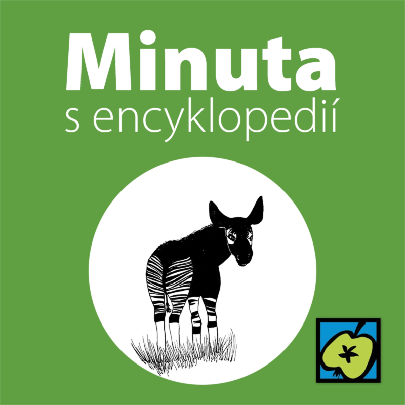 Obrázek epizody Okapi
