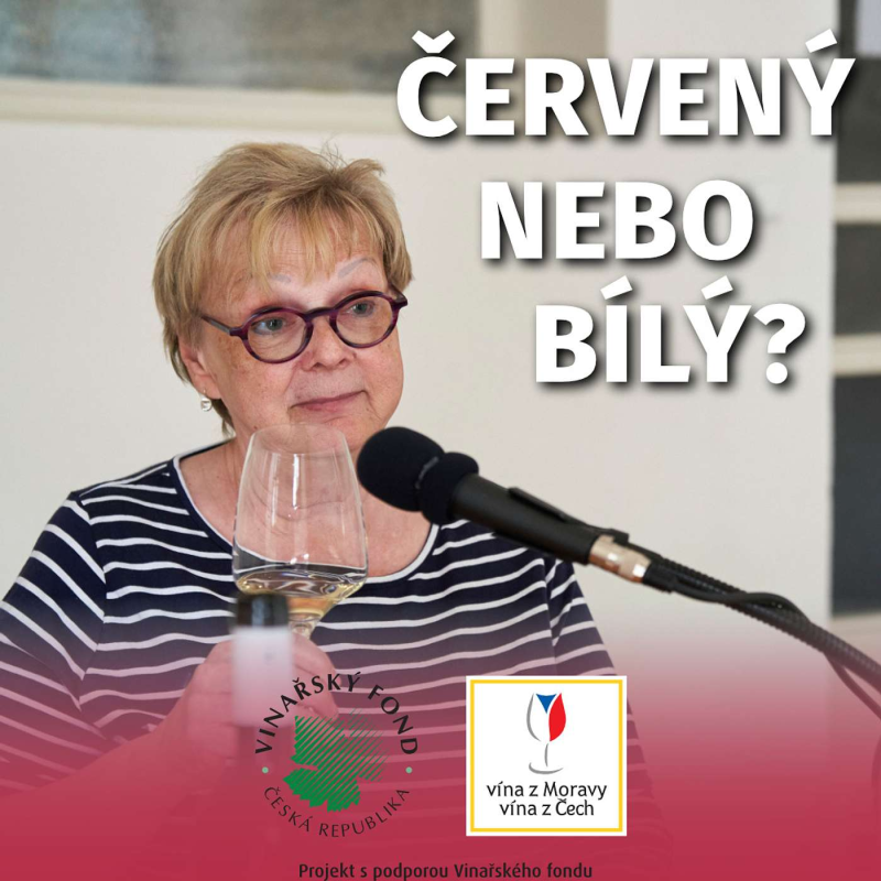 Obrázek epizody 010: S Monikou Christmann o enologii, legislativě a OIV [AJ]