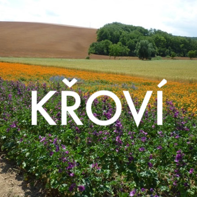 Obrázek epizody S0E09 - Zuzana Skřivanová: zastupitelka malé obce a projektantka pozemkových úprav