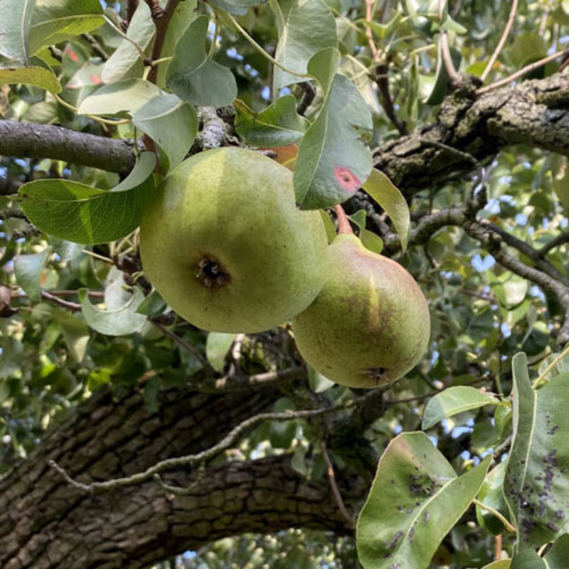 Obrázek epizody Spokojený fukar