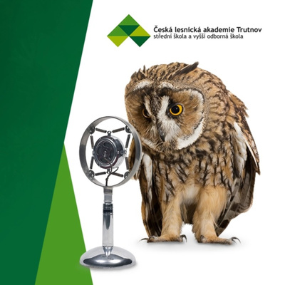 Obrázek epizody Hovory z trutnovské lesárny - 7. díl Ing. Mikuláš Říha