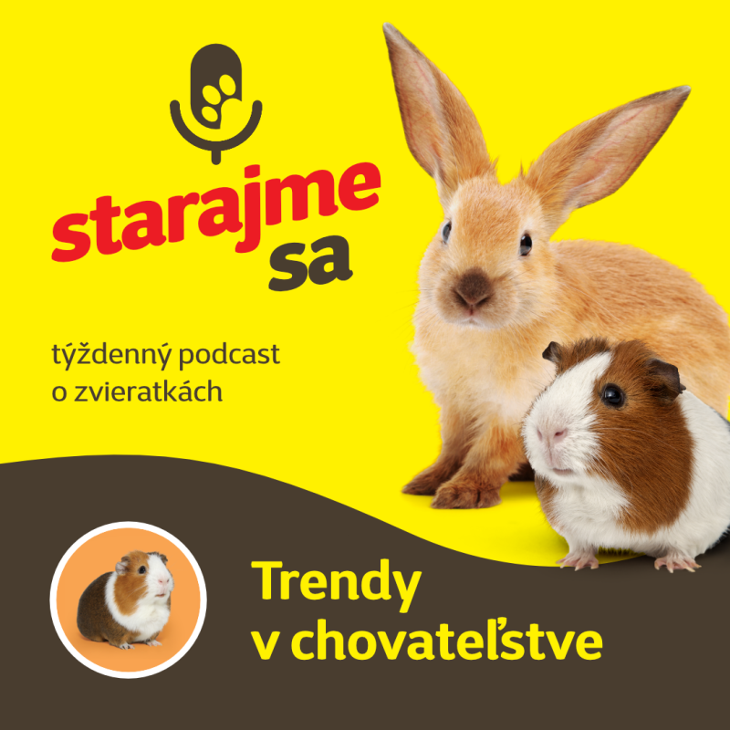 Obrázek epizody Drobné cicavce: Trendy v chovateľstve