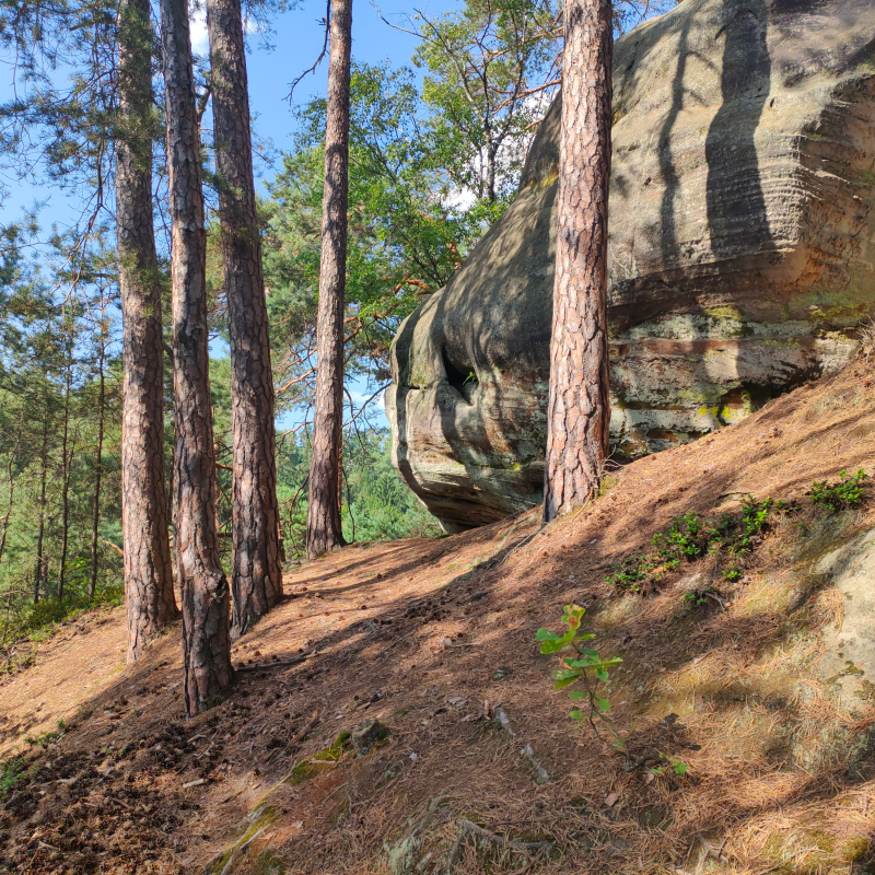 Obrázek epizody Dobrodružství v Americe přímo v srdci Českého ráje