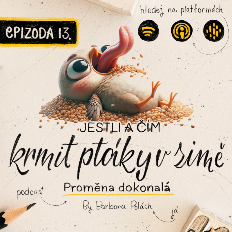 Obrázek epizody #13 Jestli a čím krmit ptáky v zimě a za co půjdete do pekla