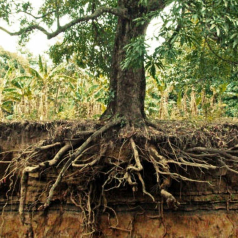 Obrázek epizody Sedm kořenových hříchů a synodalita (Vikariátní den Švihov)