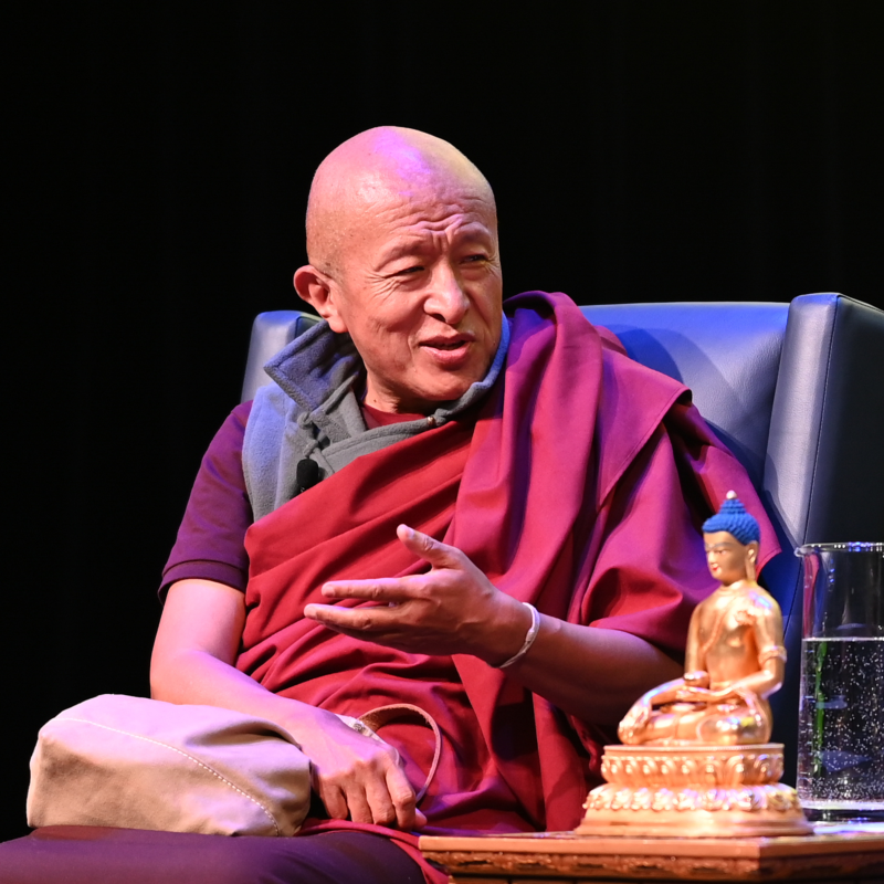 Obrázek epizody Kdo je Guru Rinpočhe? (2. část) - Dzongsar Jamyang Khyentse Rinpočhe