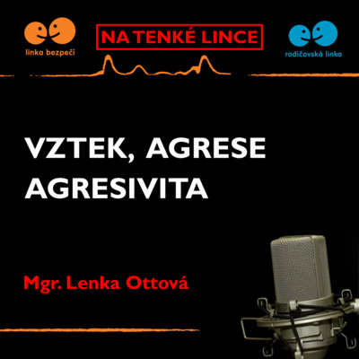 Obrázek epizody Vztek, agrese a agresivita