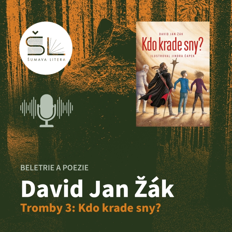 Obrázek epizody „Tromby 3: Kdo krade sny?“ – David Jan Žák