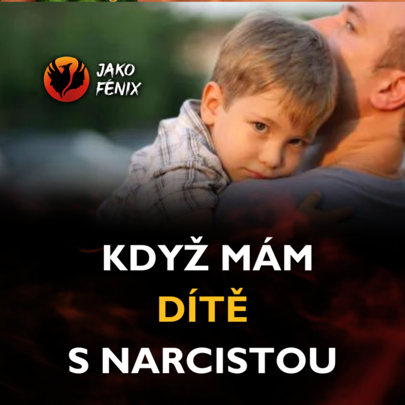Obrázek epizody Když mám DÍTĚ s NARCISTOU ...