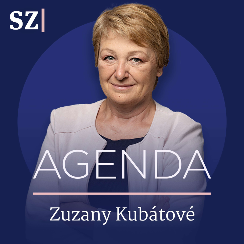 Obrázek epizody Propojení s Německem. Investor popisuje klíč k levnější elektřině