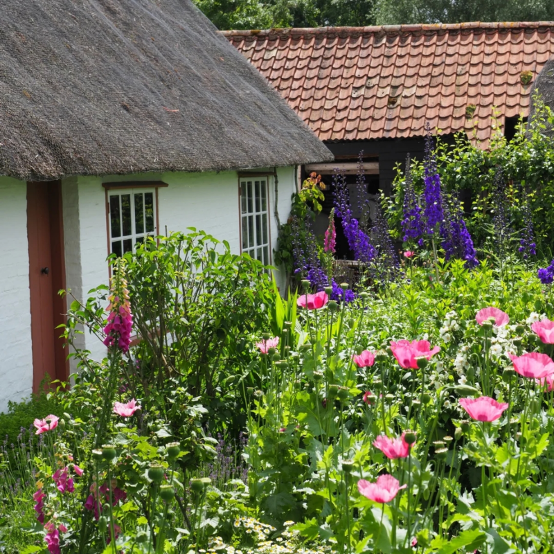 Obrázek epizody Small Talk #141 - Sousedská etiketa