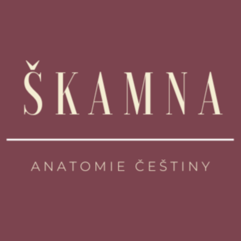 Obrázek epizody Slovesná třída a slovesný vzor