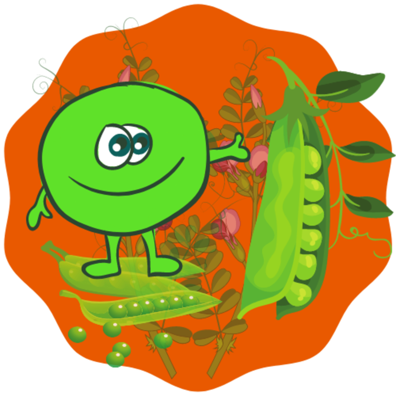 Obrázek epizody Kulihrášek