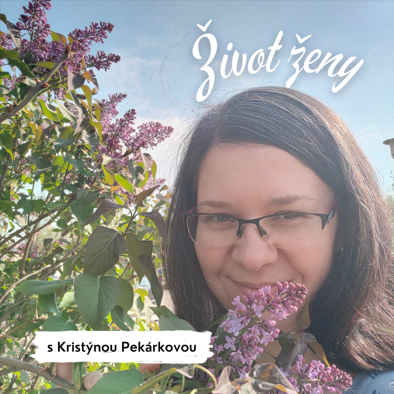 Obrázek epizody Blokády v životě