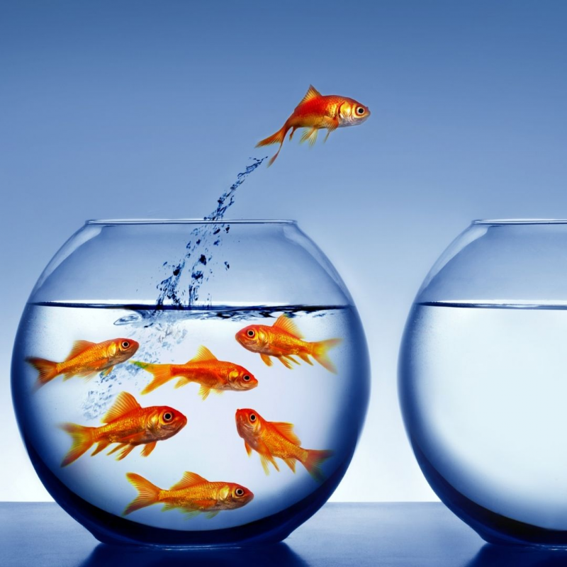 Obrázek epizody Small Talk #65 - Jak věci měnit