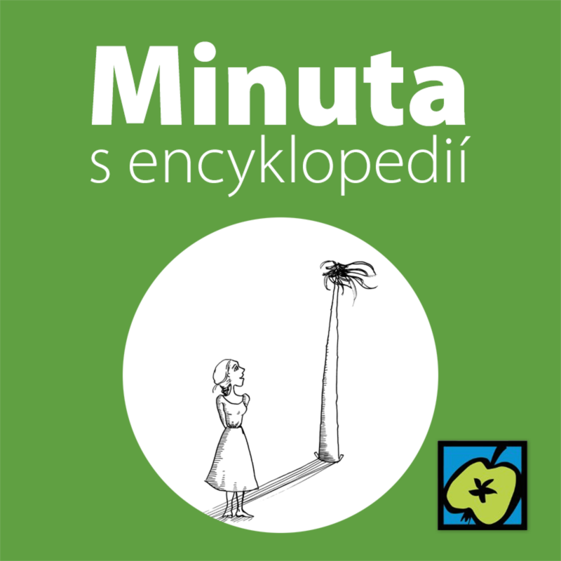 Obrázek epizody Stavění máje