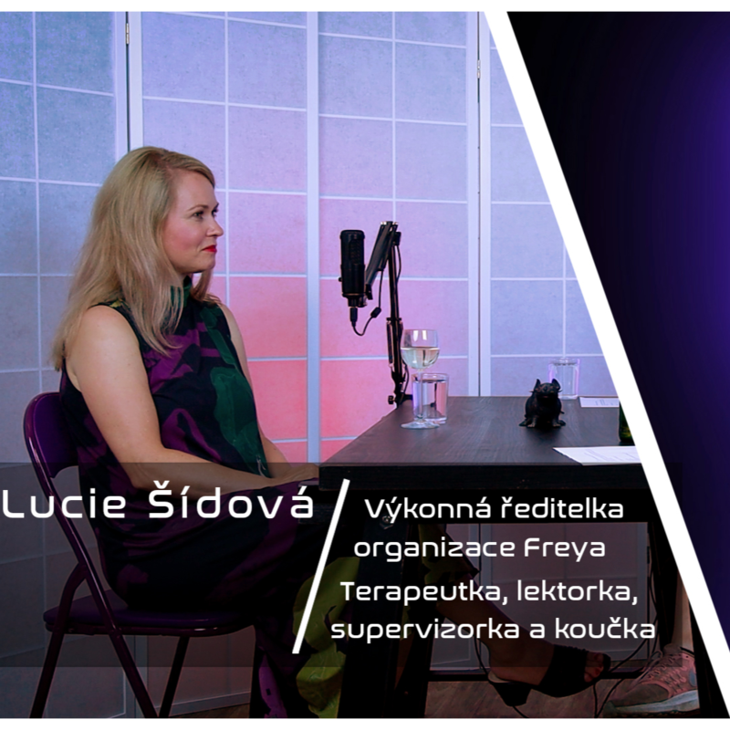 Obrázek epizody Krysí doupě / Lucie Šídová: Chceme bořit mýty o tom kdo je sexuální asistentka.