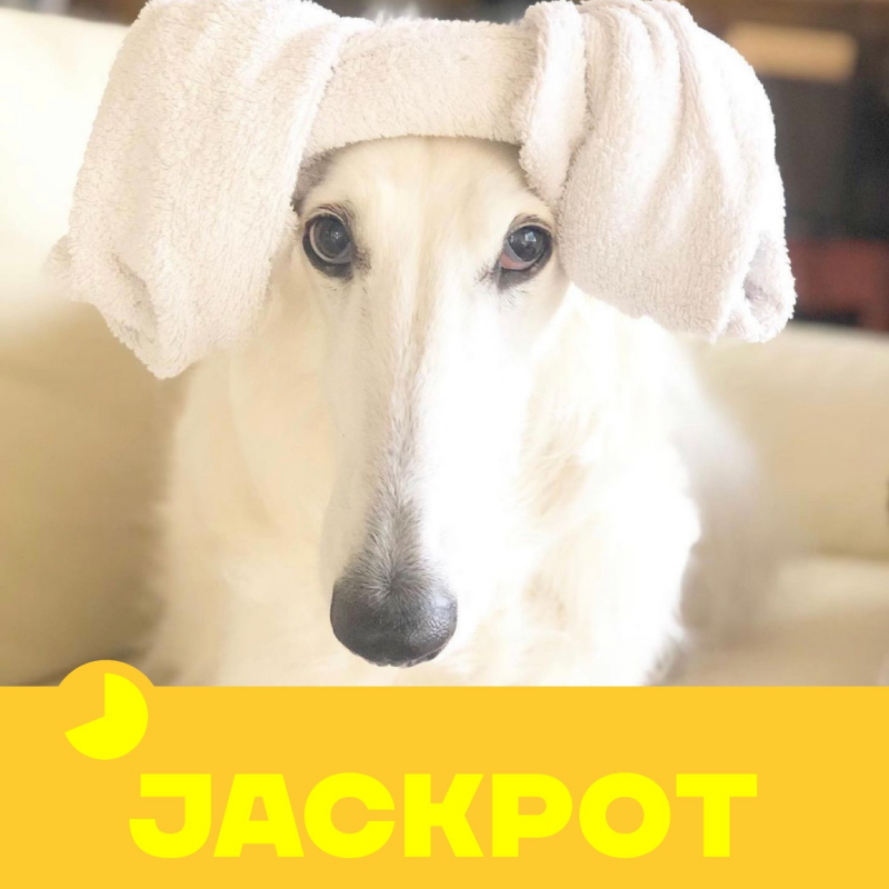 Obrázek epizody JACKPOT 17