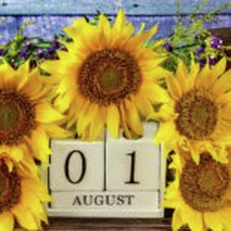 Obrázek epizody HOROSKOPY: Blíženci, žádné starosti si příliš nepřipouštíte. U mladších ročníků erotické lašování nebude mít konce