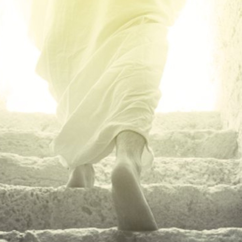 Obrázek epizody Vzkříšený mezi námi