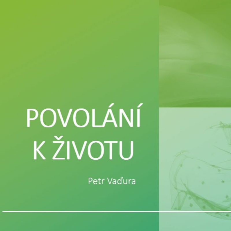 Obrázek epizody Povoláni k životu - Petr Vaďura