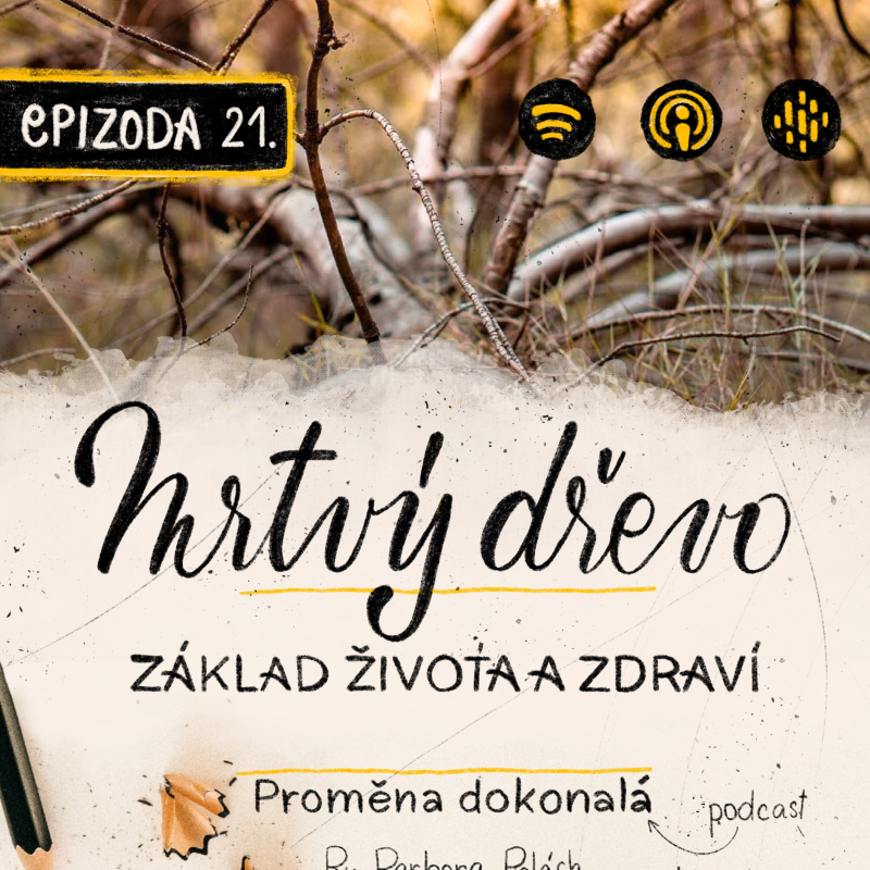 Obrázek epizody #21 Stromy a mrtvé dřevo – život po životě
