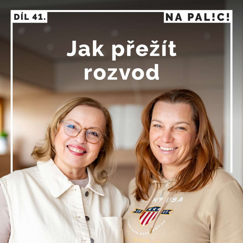 Obrázek epizody 41. díl - Jak přežít rozvod
