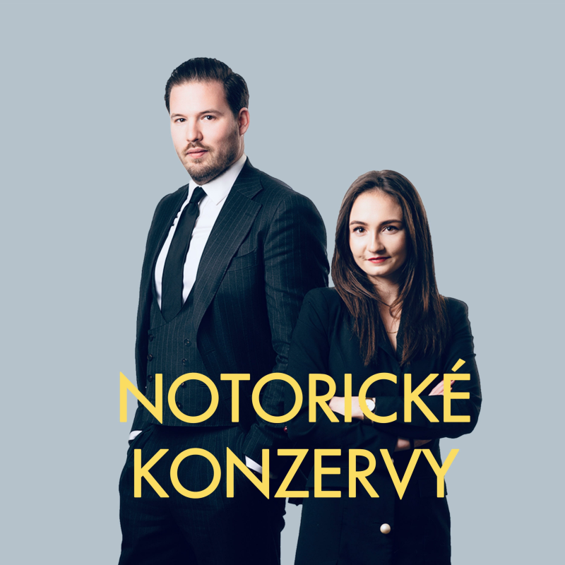 Obrázek epizody Nová německá vláda: slabý Merz a progresivistický program & Liberální establishment mele z posledního: snaha zničit AfD, volby v Rumunsku