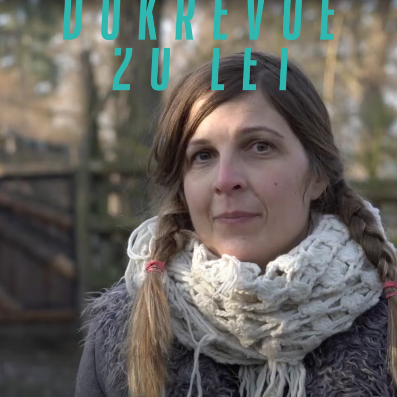 Obrázek epizody Hana Nováková. Amoosed: Losí odysea