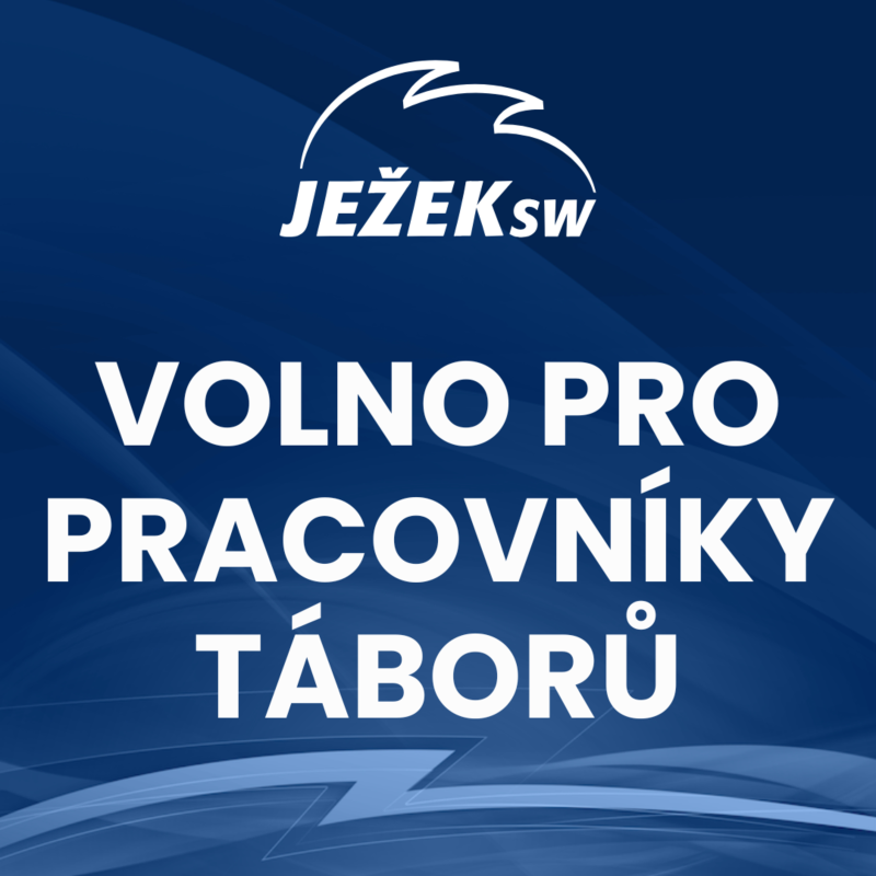 Obrázek epizody Pracovní volno pro vedoucí tábora a jiné dobrovolníky