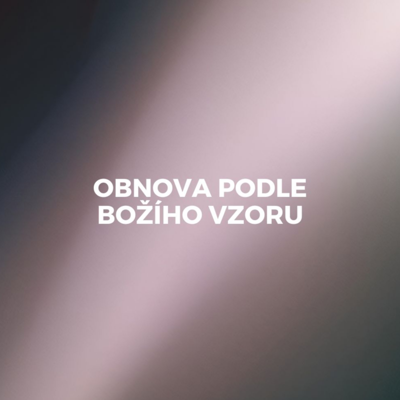 Obrázek epizody OBNOVA PODLE BOŽÍHO VZORU
