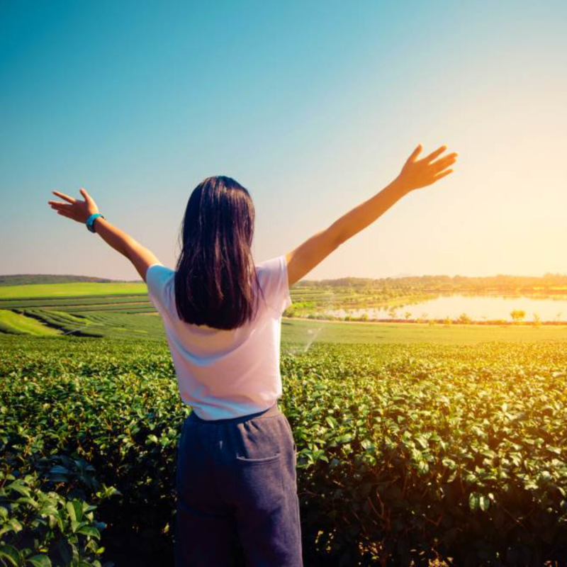 Obrázek epizody Ježíš uzdravuje naše svědomí