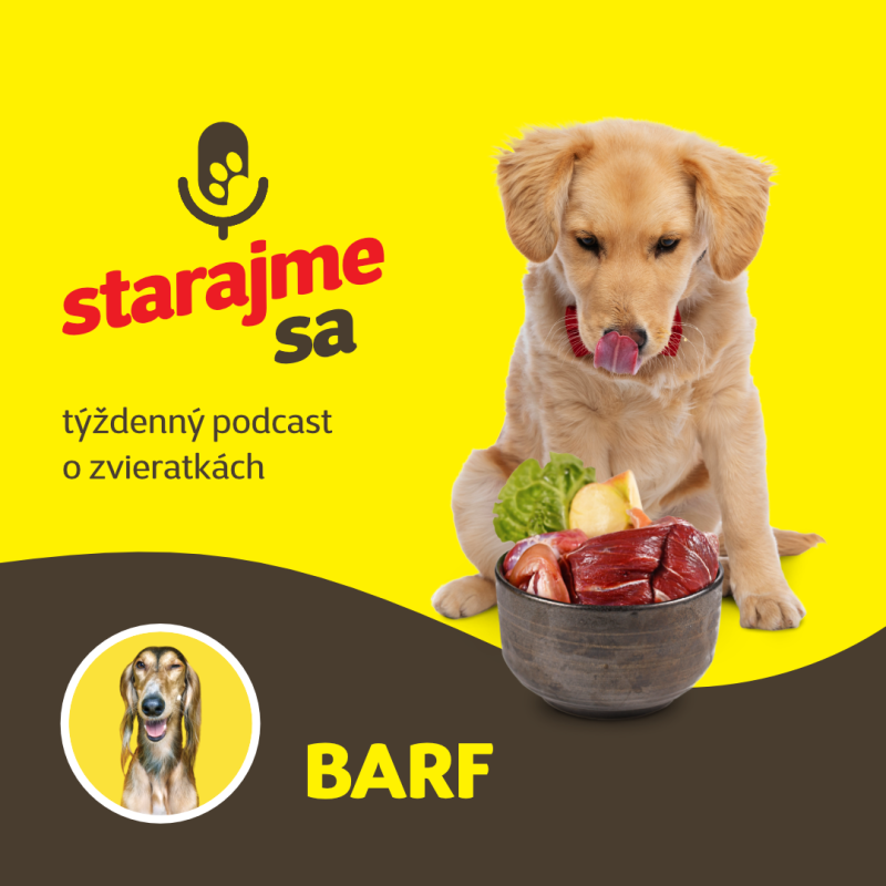 Obrázek epizody Psy: BARF