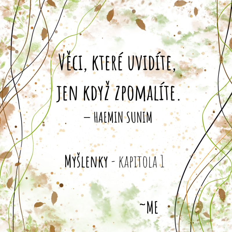 Obrázek epizody MY~ŠLENKY - Kapitola 1. - Vnitřní klid, myšlenky a perspektiva.