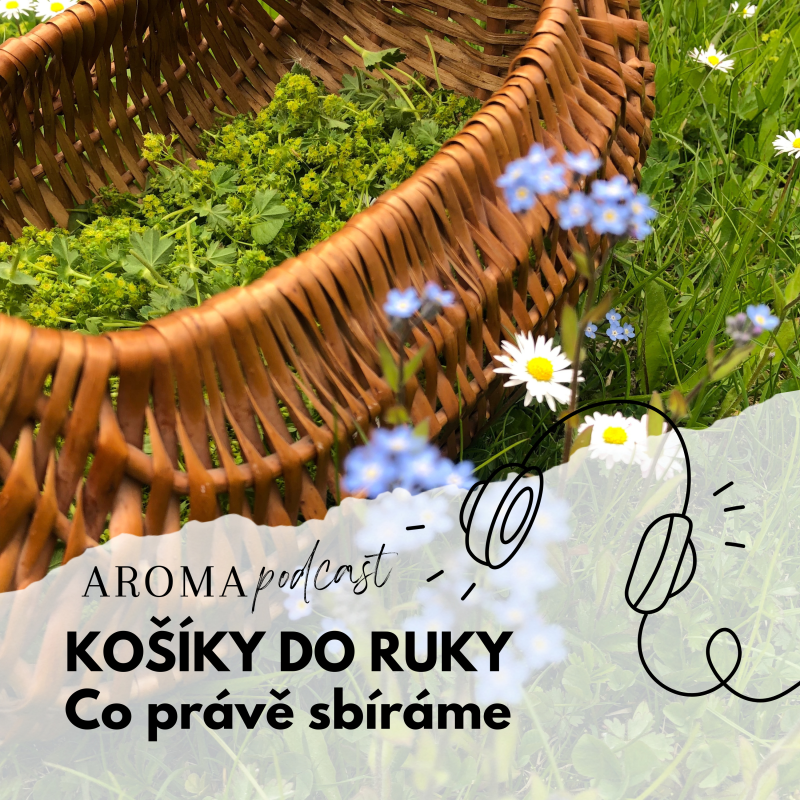 Obrázek epizody #021 Košíky do ruky: co právě sbíráme