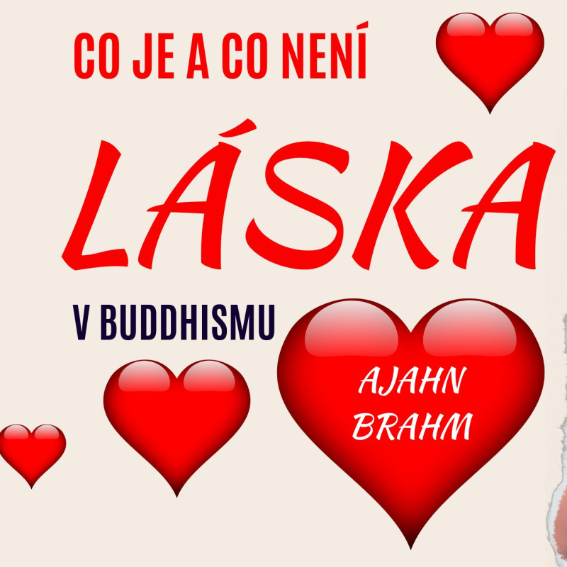 Obrázek epizody Co je a co není láska (podle buddhismu) | Ajahn Brahm | 26.11.2010