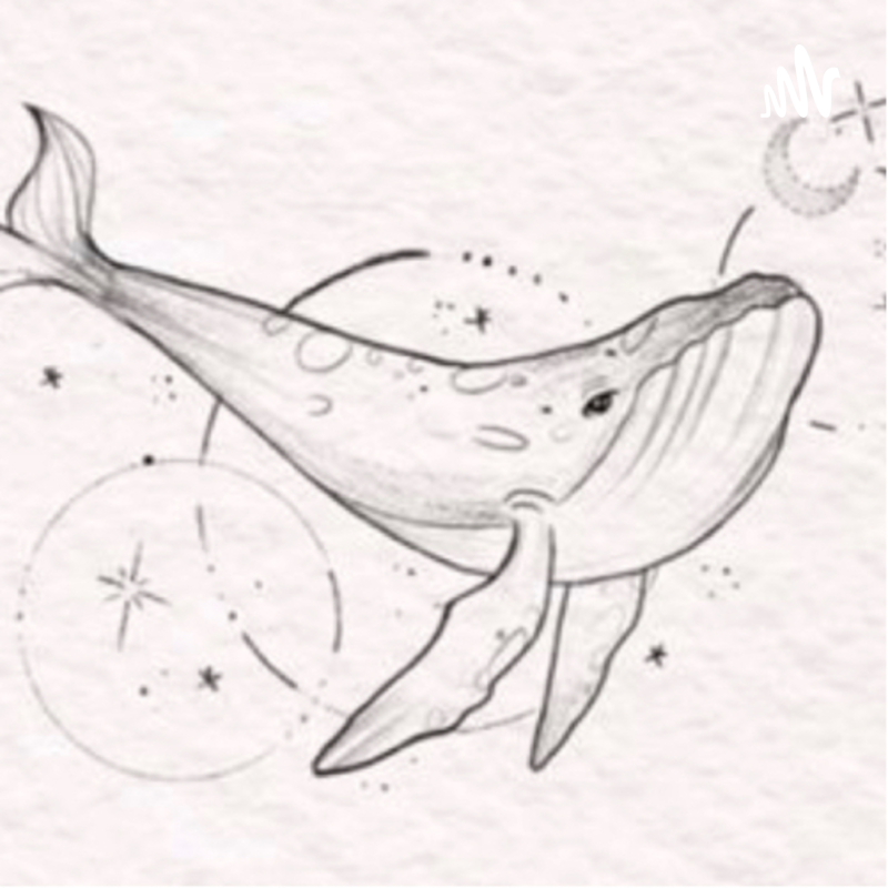 Obrázek epizody O dětských traumatech Díl 2 💔