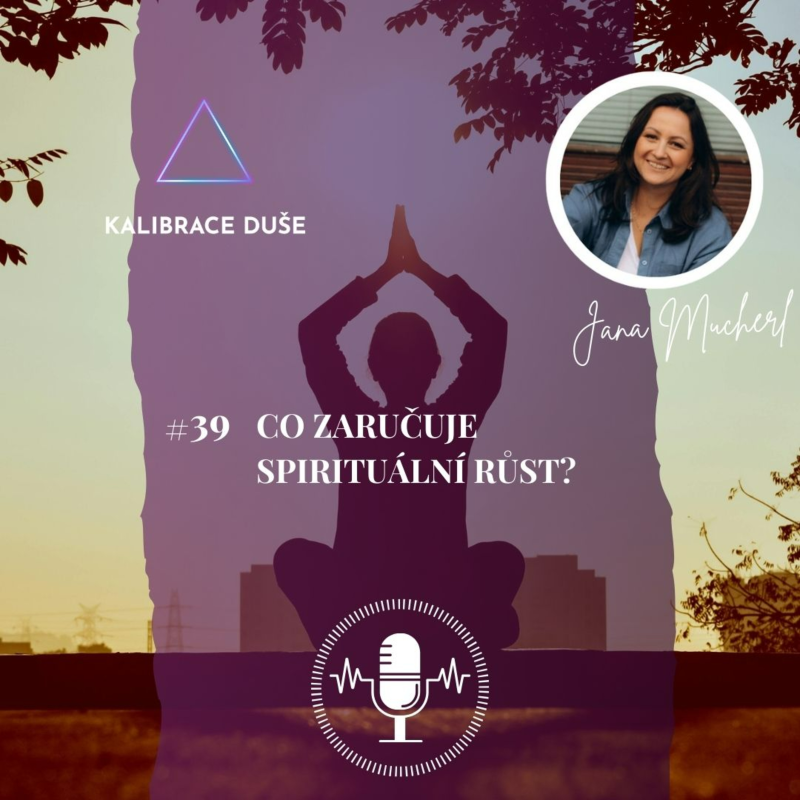 Obrázek epizody #39 Co zaručuje spirituální růst?