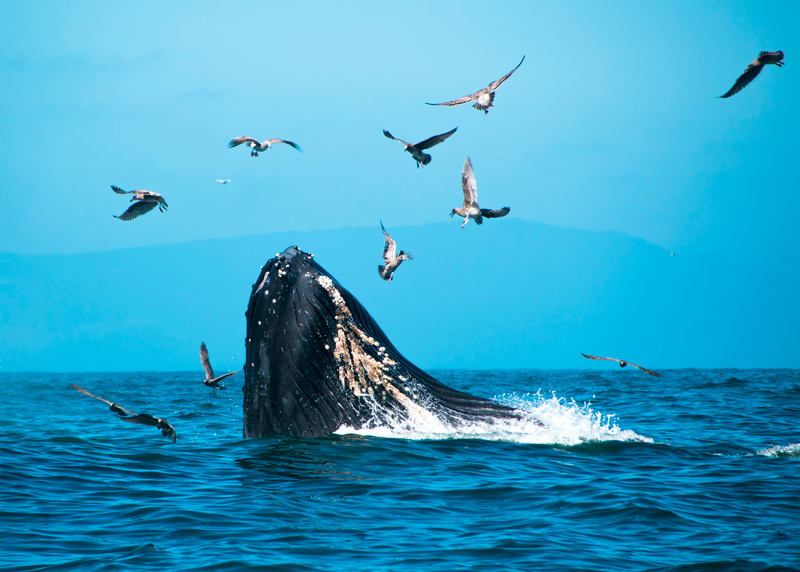 Obrázek epizody Dar naslouchání