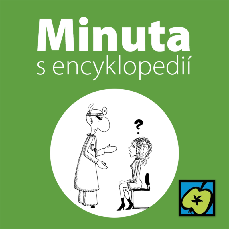 Obrázek epizody Latina